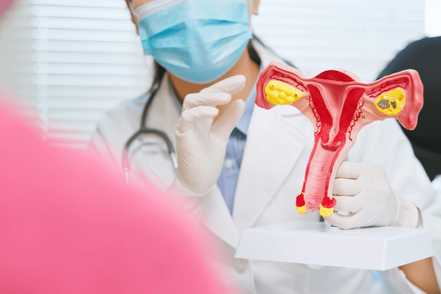 A doctor holds a plastic model of the female reproductive system as she explians the progression of cervical cancer 