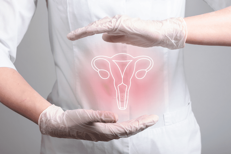 An illustration of a woman's reproductive system to explain cervical cancer