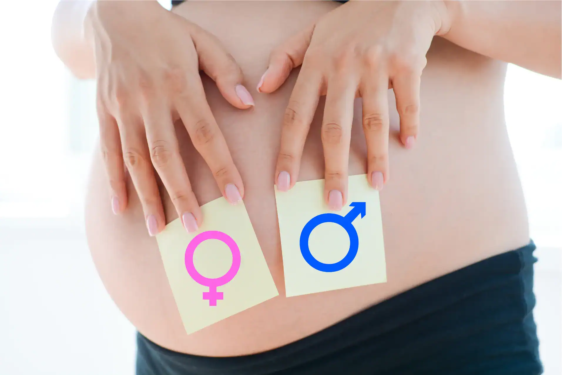 boy/girl paper on pregnant belly